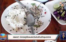 สยอง!! อำเภอภูเรือแมลงวันนับล้านตัวรุมอาหาร