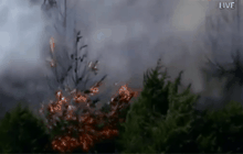 ไฟไหม้ป่าในสหรัฐฯ