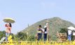 นักท่องเที่ยวแห่ชมต้นนางพญาเสือโคร่ง – ดอกบัวตอง