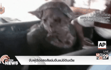 จับผู้ต้องสงสัยข่มขืนแม่ชีอินเดีย