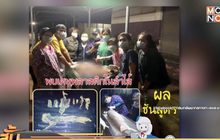 ผ่าซากพะยูน “มาเรียม” พบขยะพลาสติกอุดตันลำไส้