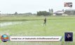 พาณิชย์ Kick off จ่ายส่วนต่างข้าว-ข้าวโพดให้เกษตรกรทั่วประเทศ