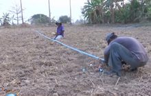 หลายจังหวัดได้รับผลกระทบจากภัยแล้ง