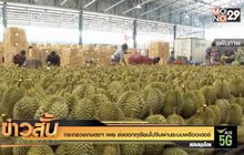 กระทรวงเกษตรฯ เผย ส่งออกทุเรียนไปจีนผ่านระบบพรีออเดอร์