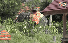 ช้างเกาะสมุยตกมัน ไล่แทงนักท่องเที่ยวเสียชีวิต 1ราย