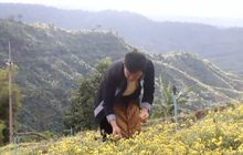 บรรยากาศท่องเที่ยวภาคเหนือคึกคัก