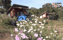 นักท่องเที่ยวแห่กางเต้นท์จุดชมวิวดอยหลวงเชียงดาว