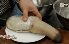 หอยกูอีดั๊กจากแคนาดาเป็นที่ต้องการช่วงตรุษจีน