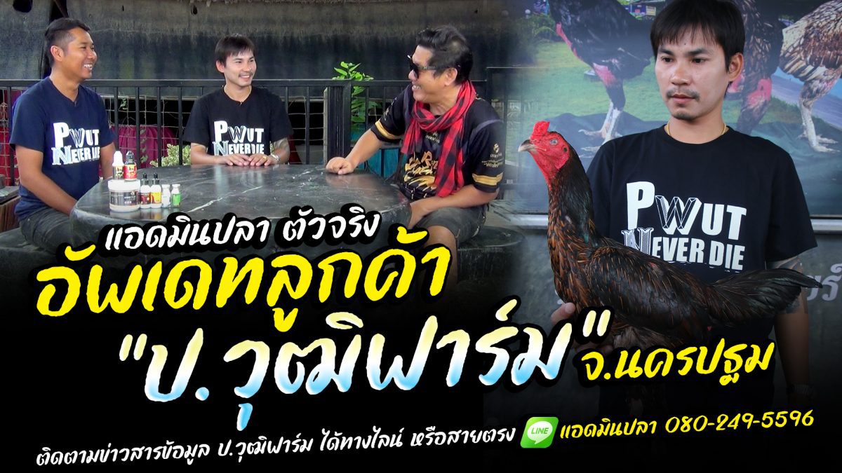 ฉบับคลิปเต็ม อัพเดทพันธุกรรมเบอร์แข้งปลดอาวุธ ป.วุฒิฟาร์ม จ.นครปฐม แอดมินปลา 080-249-5596