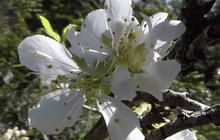 นักท่องเที่ยวสัมผัสอากาศหนาวภาคเหนือ