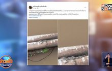 จับได้แล้วลูกจระเข้คลองประปา