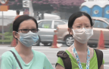 ปัญหาหมอกควันจากไฟป่าจากอินโดนีเซีย