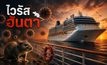 ทำความรู้จัก “ไวรัสฮันตา” (Hantavirus) เชื้อร้ายจากหนูที่คร่าชีวิตคนบนเรือสำราญ