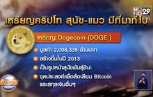 เหรียญคริปโท สุนัข-แมว มีที่มาที่ไป