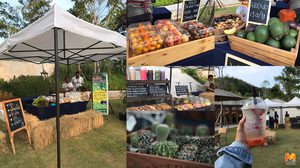 ช็อปเพลินๆ ช่วงปลายปี! ลาบาริส วินเทอร์เฟสต์ ที่ ลาบาริส เขาใหญ่