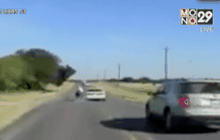 ขับรถชนมอเตอร์ไซค์เพราะโดนแมลงกัด