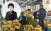 “พาณิชย์” เผยบริษัทจีนในคุนหมิง สนใจนำเข้าทุเรียนไทย 20-30 ตู้ต่อวัน