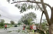 ฝนถล่มอีสานเสียหายหลายจังหวัด