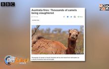 ออสเตรเลียเริ่มสังหารอูฐ-ผลพวงภัยแล้ง