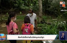 สิงคโปร์เล็งจ่ายโบนัสหนุนคนมีลูก