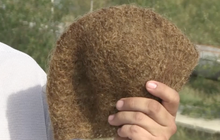 ​เตรียมเปิดประมูลหมวกขนแมมมอธในรัสเซีย