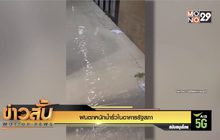 ฝนตกหนักน้ำรั่วในอาคารรัฐสภา