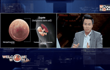 ความก้าวหน้า “สเต็มเซลล์’ ในการรักษาโรค ตอน1