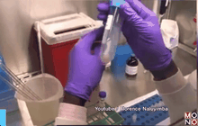 แอฟริกาใต้เตรียมทดลองวัคซีน HIV