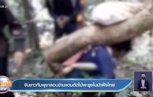 จับชาวกัมพูชาลอบข้ามแดนตัดไม้พะยูงในป่าฝั่งไทย