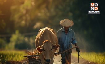 ข้าวมาก-ราคาตก รายได้เกษตรกรหดตัวครั้งแรกรอบ 4 ปี