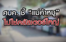 ศบค.ชี้ แม่ค้าหมูไม่ใช่คลัสเตอร์ใหญ่ 09-02-64