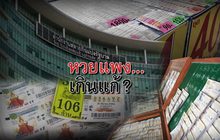 The day news update 17-11-59