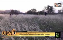 สั่งปิดห้ามเข้าพื้นที่ดอกหญ้าขาวคล้ายหิมะ จ.สงขลา
