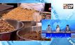 สรรพสามิตเตรียมเก็บภาษีความเค็ม