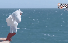 แข่งขันเบิร์ดแมนในอังกฤษ