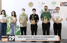 MQDC จัดทำโครงการ “Forest for Life สร้างป่าสร้างชีวิต” บรรเทาความเดือดร้อนจากโควิด-19
