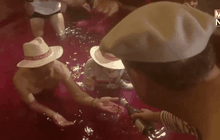 อาบไวน์ประจำปีในญี่ปุ่น