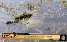 ปภ.เผยเหลือพื้นที่ประสบอุทกภัย 2 จังหวัด
