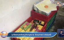 บุกโรงงานผลิตสบู่ผิดกฎหมาย ยึดอุปกรณ์-ดำเนินคดี
