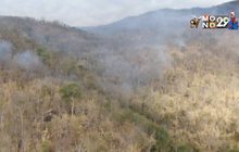 เร่งดับไฟป่าภูสะนาว จ.เลย