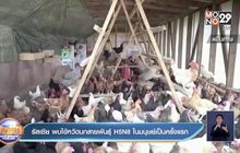 รัสเซีย พบไข้หวัดนกสายพันธุ์ H5N8 ในมนุษย์เป็นครั้งแรก