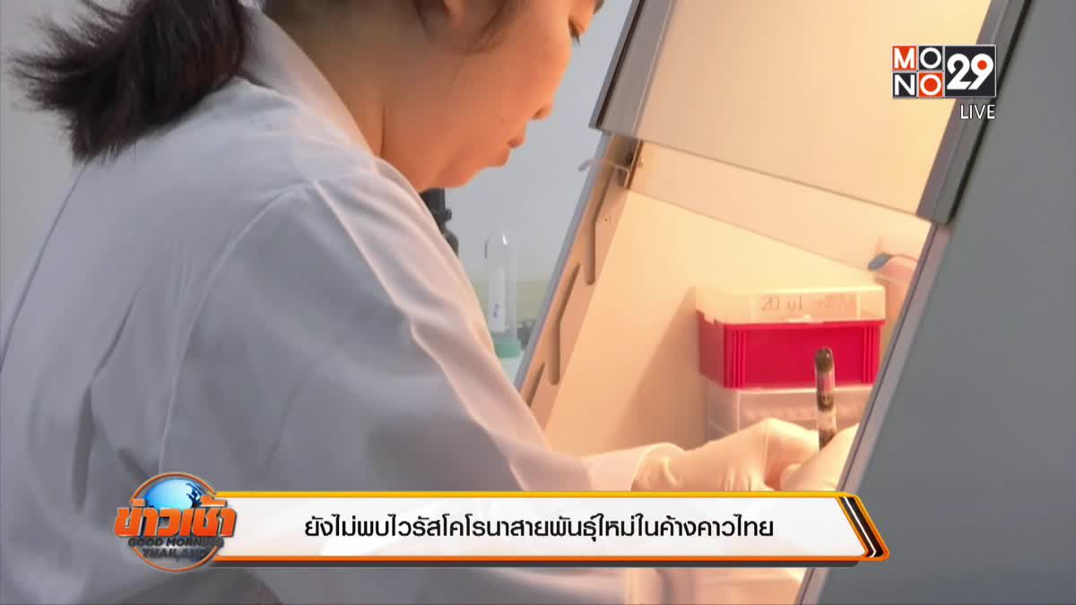 ยังไม่พบไวรัสโคโรนาสายพันธุ์ใหม่ในค้างคาวไทย