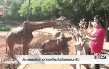 ประชาชนเดินทางท่องเที่ยวในวันครอบครัว