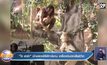 “โจ ลาร่า” นักแสดงซีรีส์ทาร์ซาน เครื่องบินตกเสียชีวิต