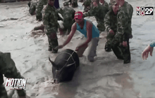 ชาวโคลอมเบียถูกเนรเทศออกจากเวเนซุเอลา