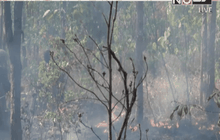 เกิดไฟป่าเขตพื้นที่สวนสัตว์ขอนแก่น