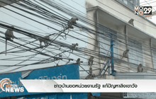 ชาวบ้านขอหน่วยงานรัฐ แก้ปัญหาลิงเขาวัง