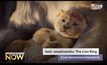 ดีสนีย์ ปล่อยตัวอย่างใหม่ The Lion King ช่วงถ่ายทอดสดรางวัลออสการ์