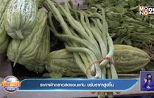 ถั่วฝักยาวสุดแพง กิโลกรัมละ 150 บาท