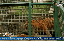 ศูนย์พักพิงสัตว์ในอินโดนีเซีย